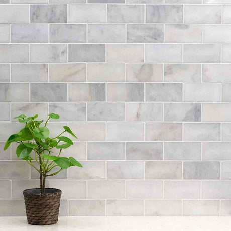 Marble Tiles - Carrara T Polished Subway Marble Tiles 70x140x10mm - intmarble